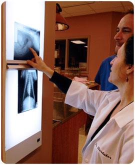 Radiology and Ultrasound
